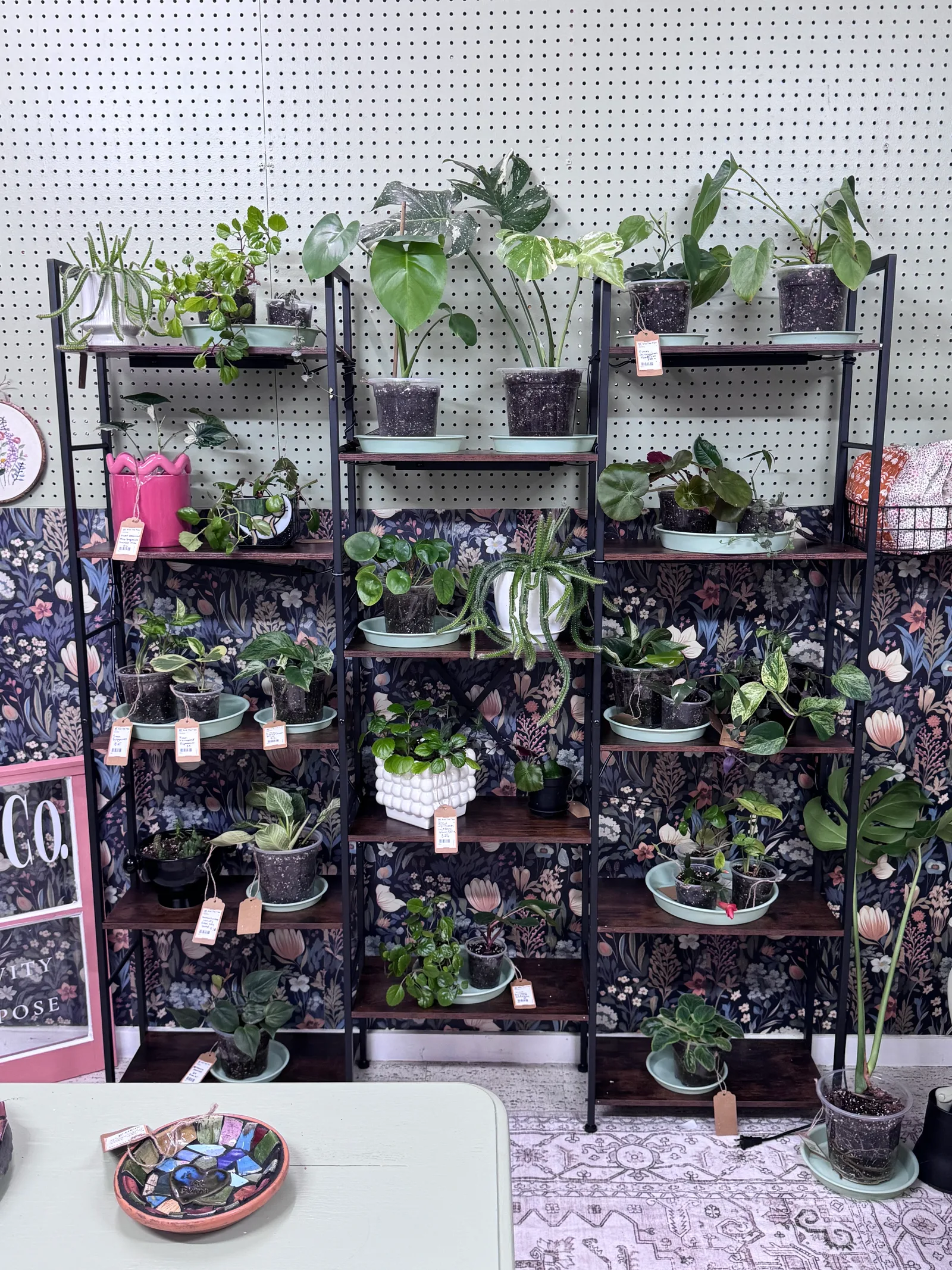 Rooted houseplants on shelves at the Rooted Craft Co booth